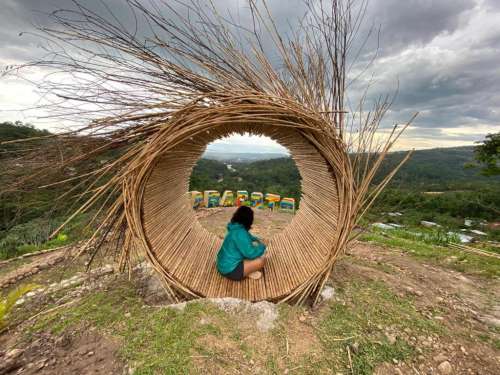 mirador