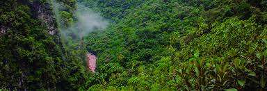 Parque Nacional Yanachaga