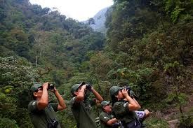 Parque Nacional Yanachaga