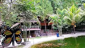 Tour Perene