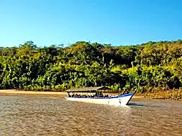 Tour Perene