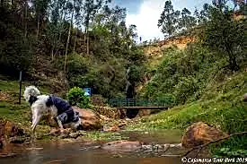 TOURS COLPA Y LLACANORA