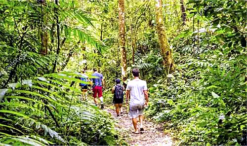 Trekking