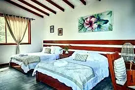 VILLA LU AMAZON LOGDE