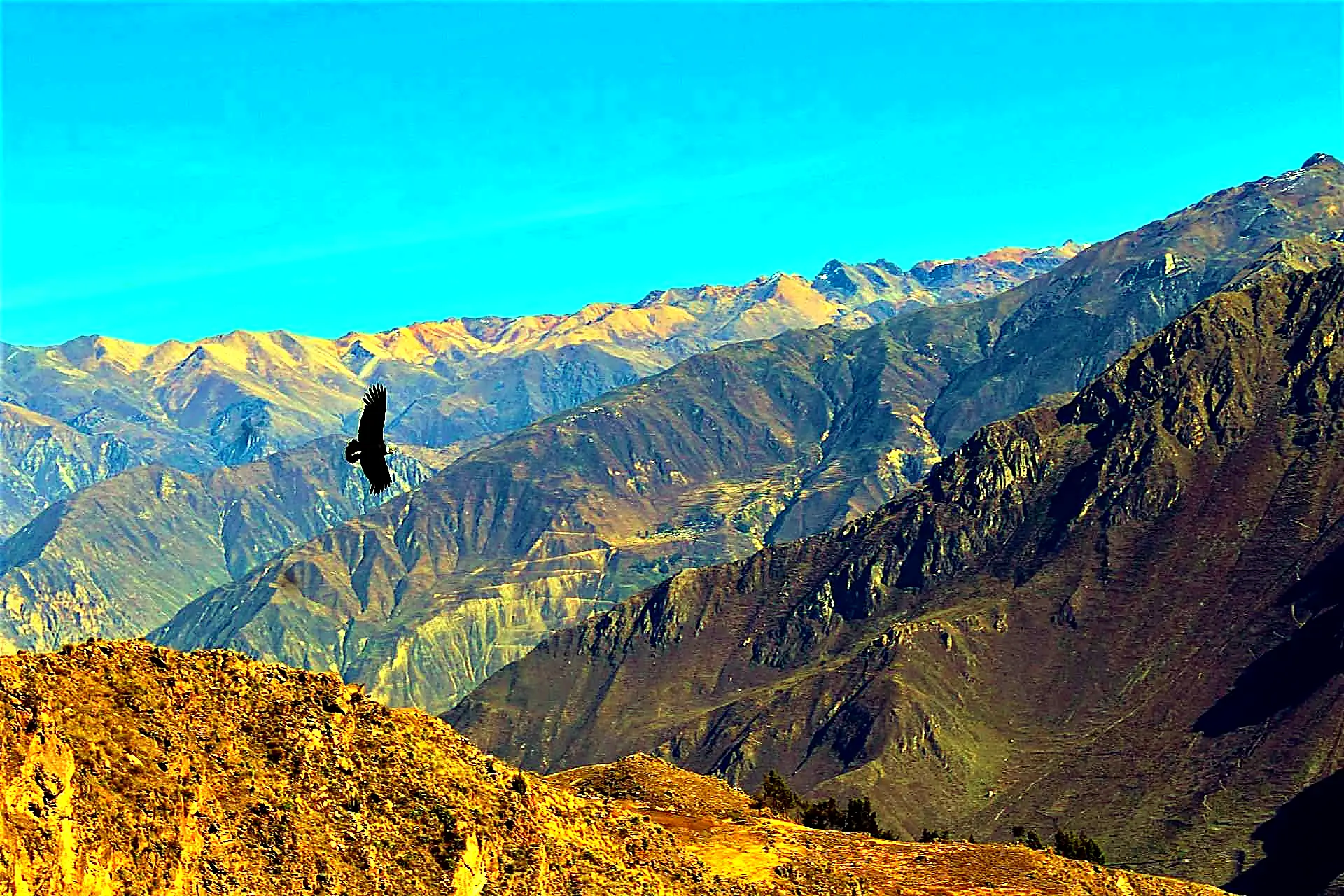 Cañón del Colca 2días/1noche
