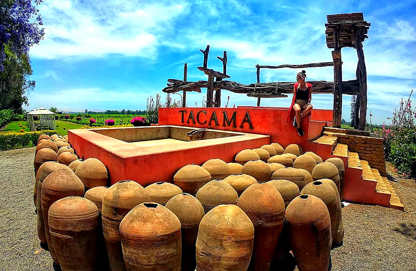 City Tour Ica - Tour Bodegas