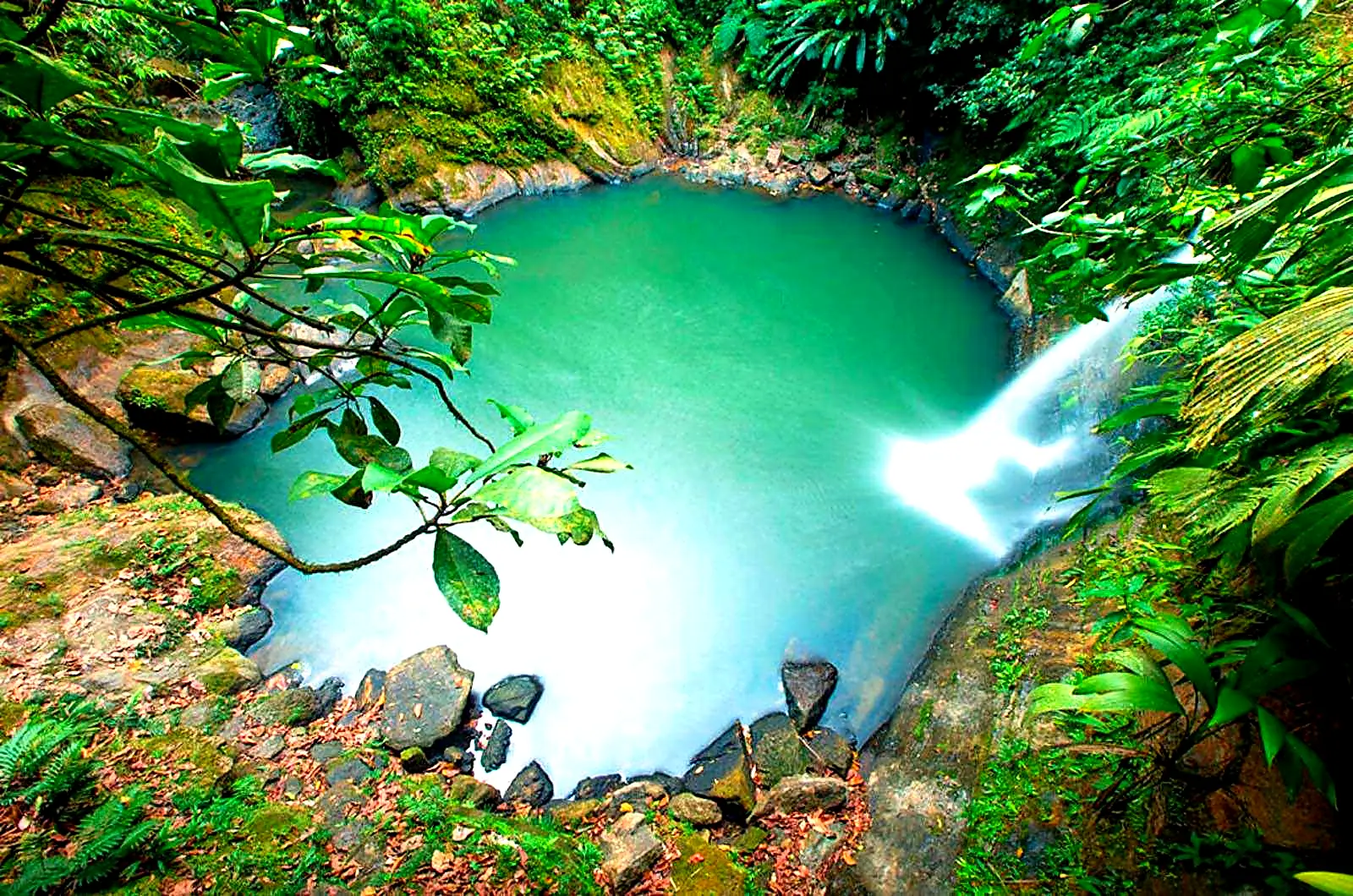 Excursión a las Cataratas de Carpishuyacu (Servicio Privado)
