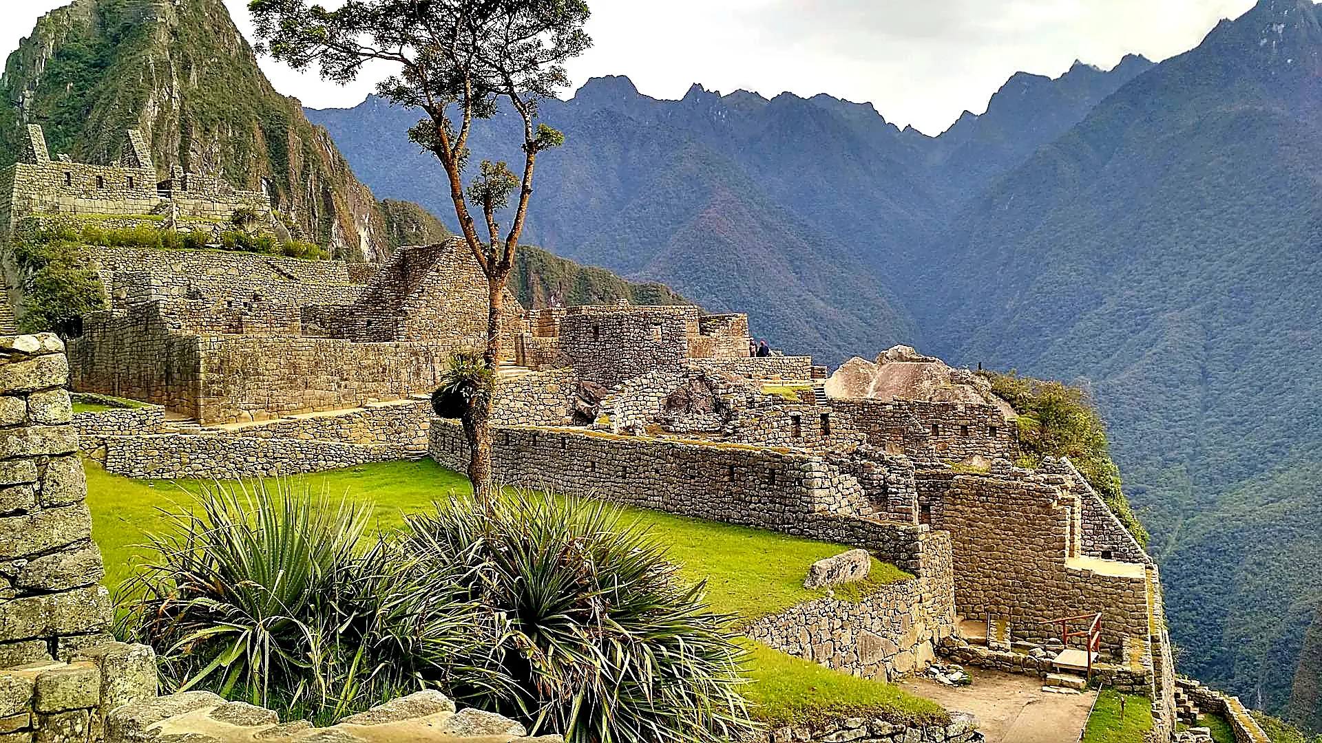 Excursión a Machu Picchu (Turista Extranjero)