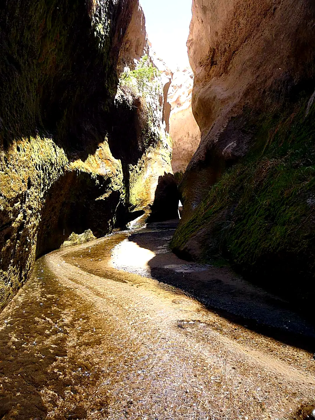Excursión en Arequipa Trekking, Cataratas y Baños Termales