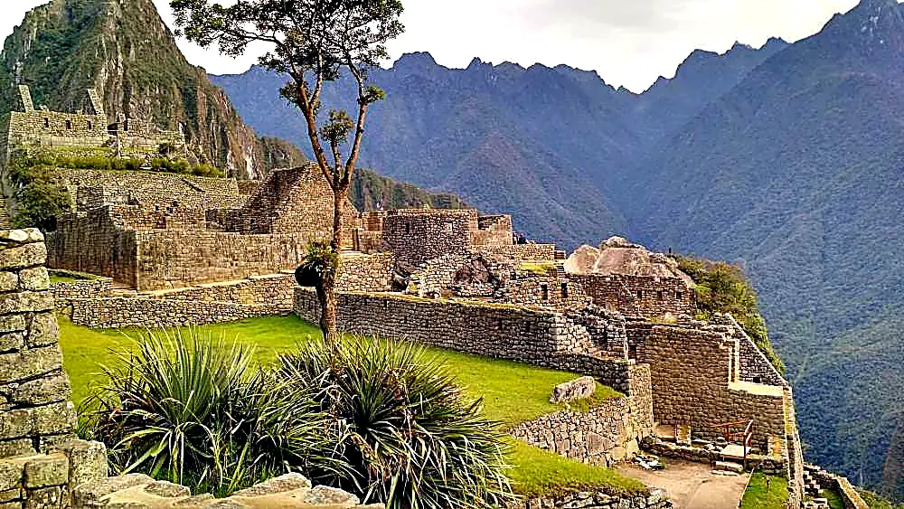 Excursión Machu Picchu (Estudiante Extranjero)