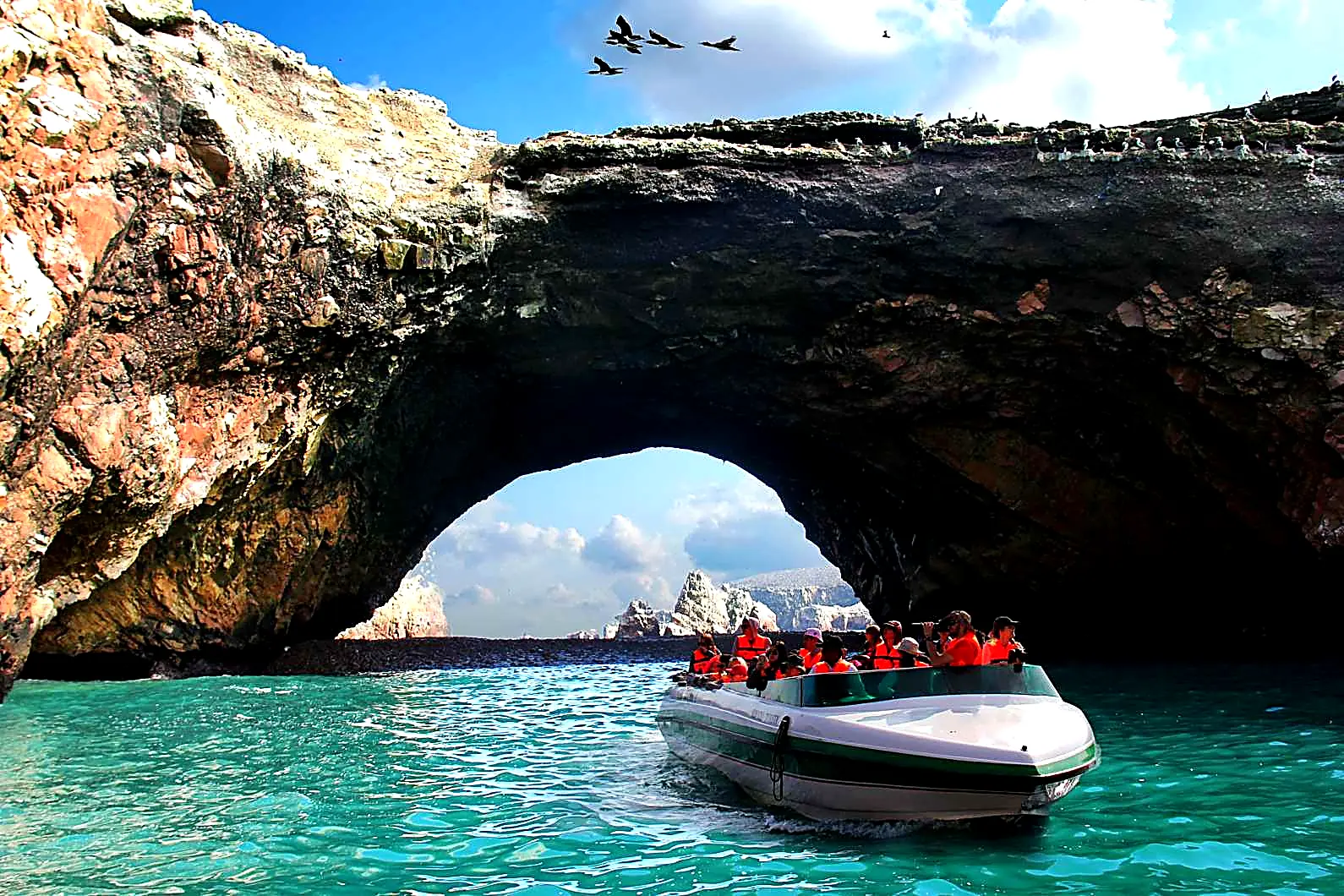 Full Day Paracas Ica Salidas Diarias 