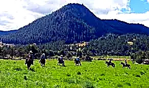 Granja el Porcon