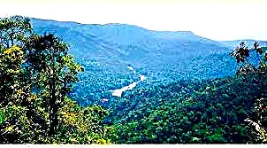 Parque Nacional Yanachaga