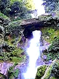 Río Abiseo 2 días / 1 noches