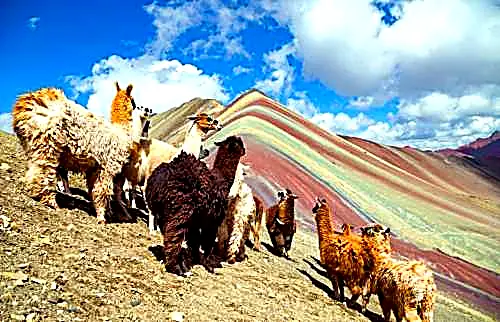 Caminata a la Montaña de 7 Colores