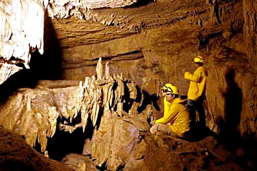 Excursión a la Cueva de Palestina & Reserva Santa Elena (Privado)
