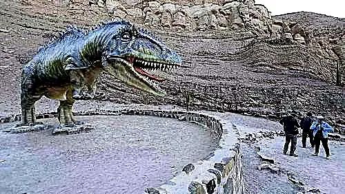 Excursión en Arequipa Valle de Majes: Full Day + Petroglifos de Toro Muerto y Querulpa