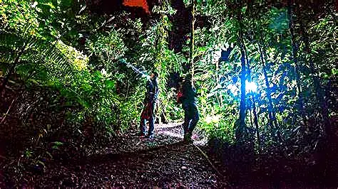 Excursión nocturna  por la selva Amazónica 