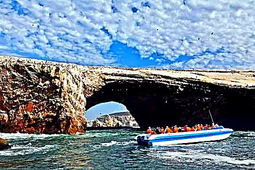Tour islas Ballestas y Reserva de Paracas desde Ica