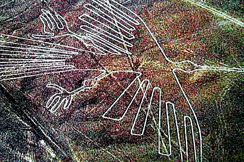 Tour Nazca Terrestre desde Ica