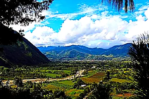 OXAPAMPA CLASICO