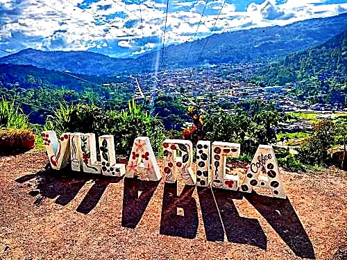 OXAPAMPA CLASICO