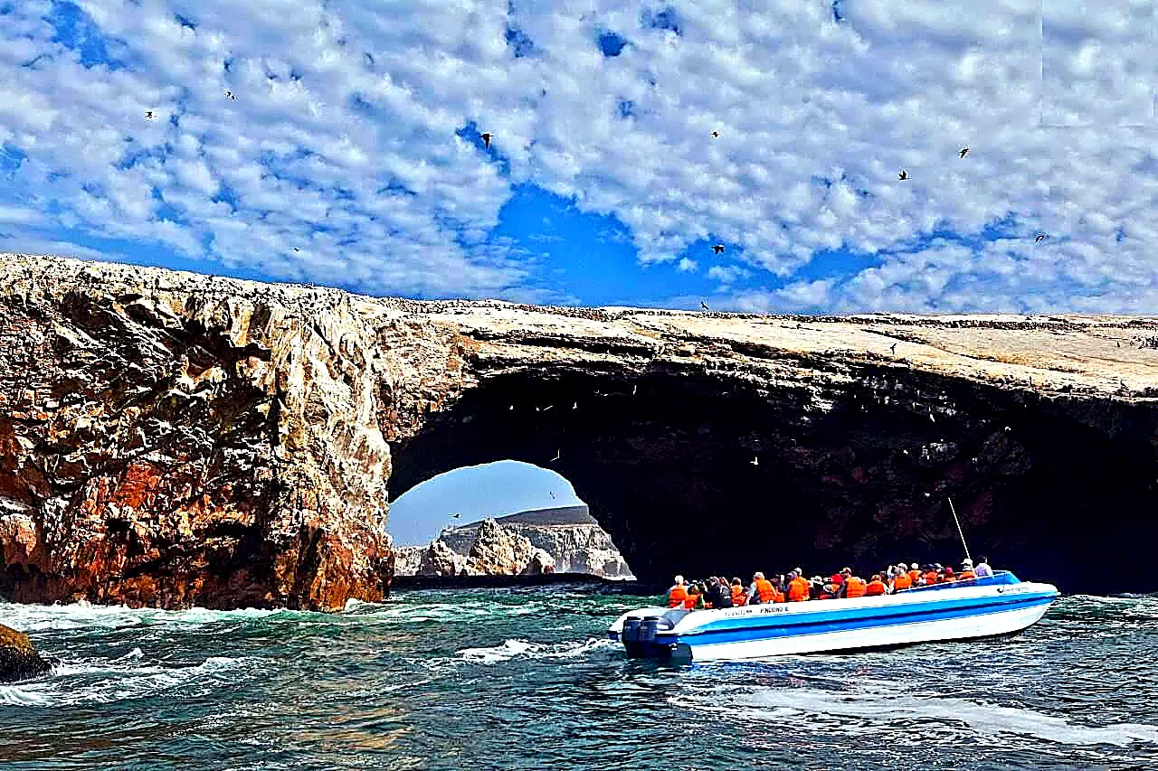 Tour islas Ballestas y Reserva de Paracas desde Ica