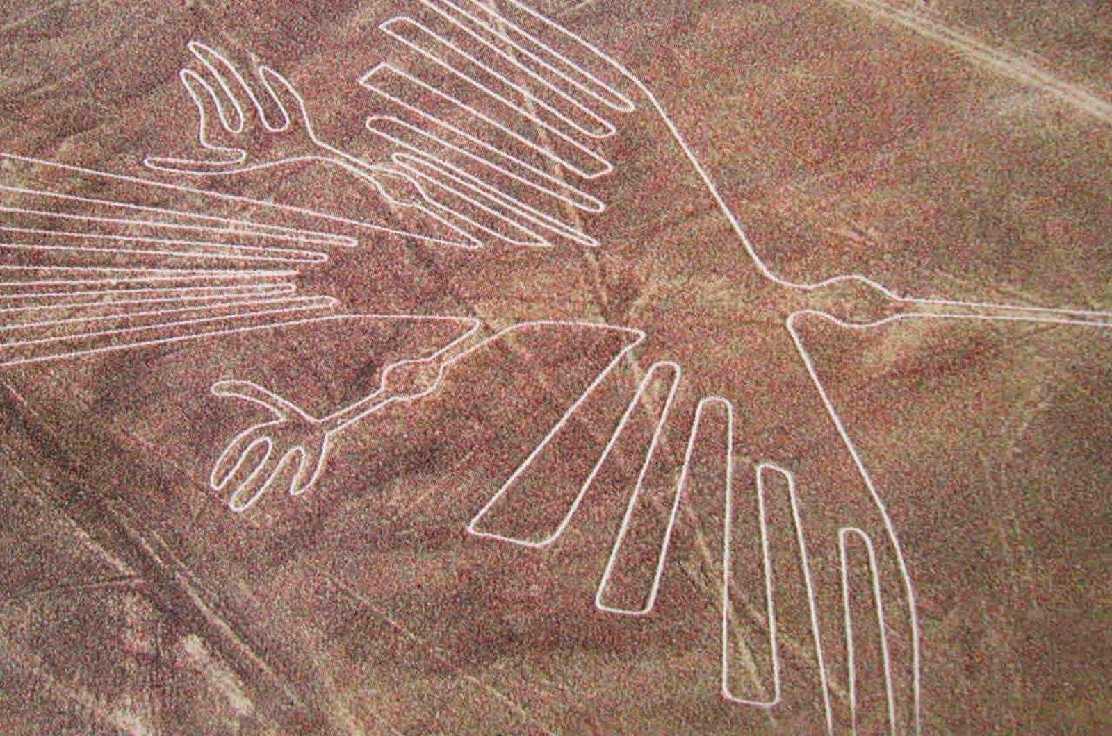 Tour Nazca Terrestre desde Ica