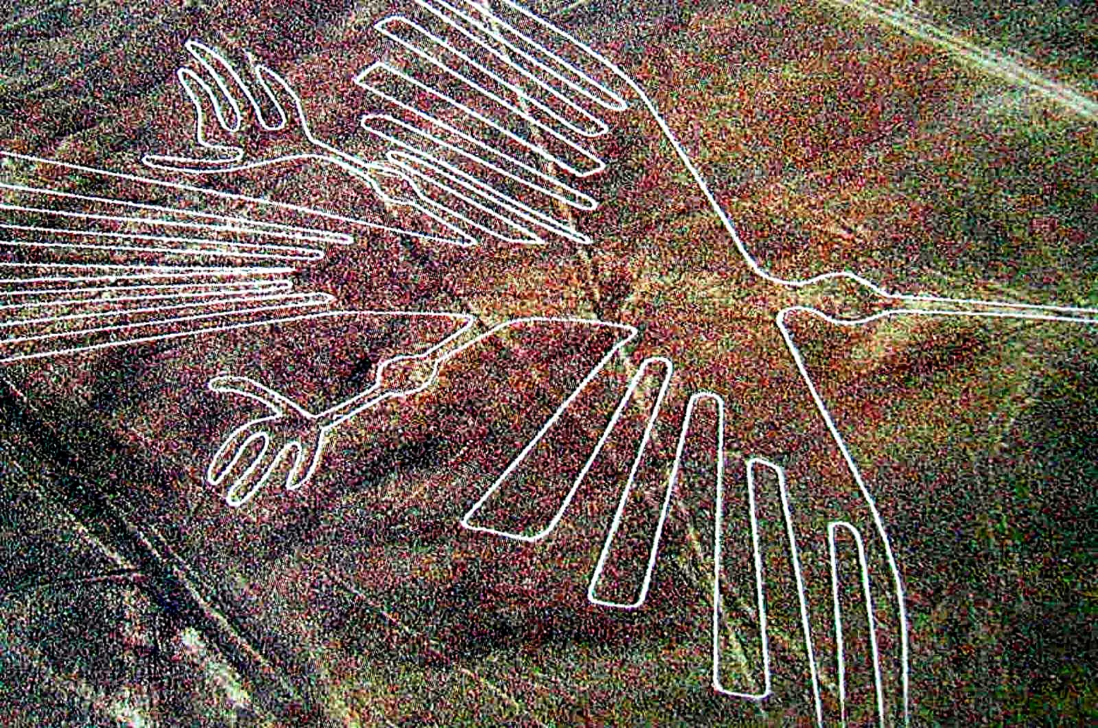 Tour Nazca Terrestre desde Ica