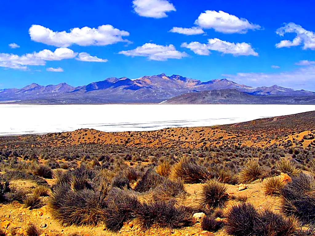 Tour Reserva de Salinas y Aguada Blanca