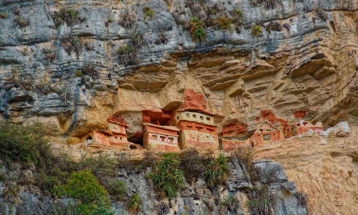 Tour Revash y Museo  de Leymebamba